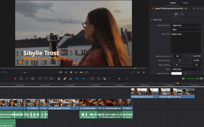 Videoschnitt-Titel-Sibylle-Trost
